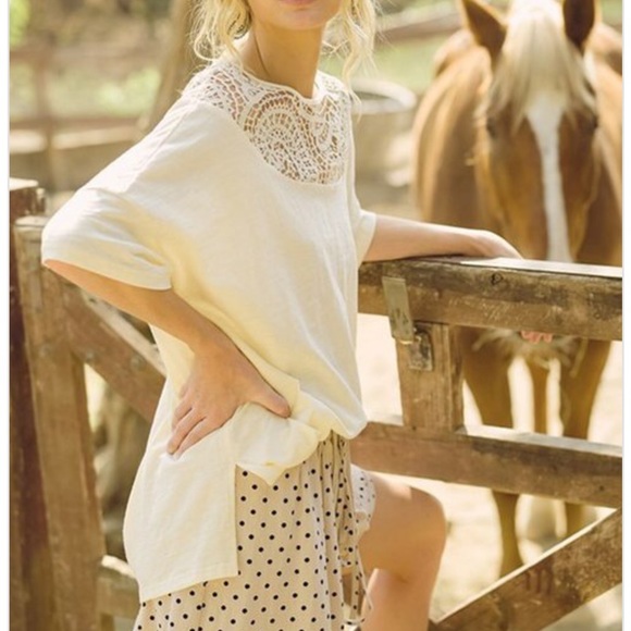 NEW Gorgeous Lace Yoke Embroidered Crochet Top - Picture 5 of 11